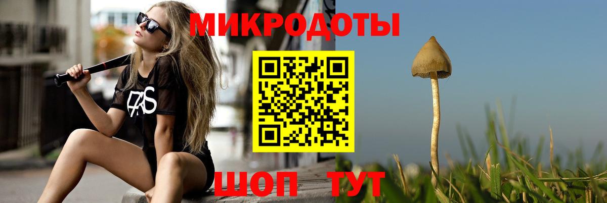 Галлюциногенные грибы прущие грибы  Вход с VPN  Гусь-Хрустальный 