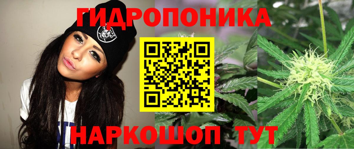 Каннабис индика Гусь-Хрустальный